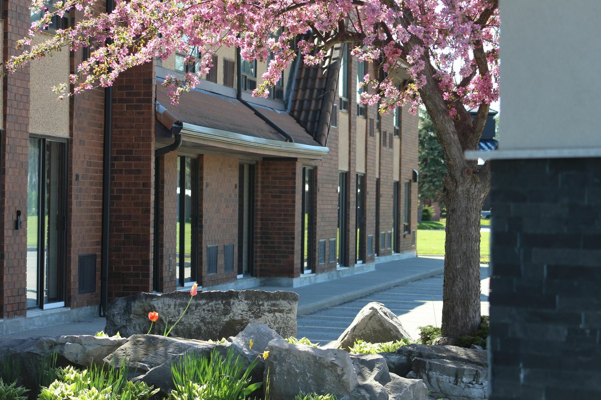 Comfort Inn Chatham-Kent Exterior photo